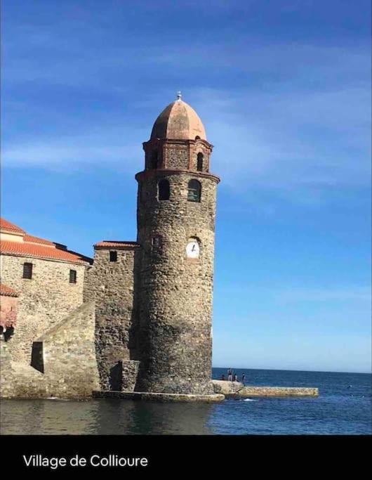 Coquet Appartement Canet-en-Roussillon Dış mekan fotoğraf