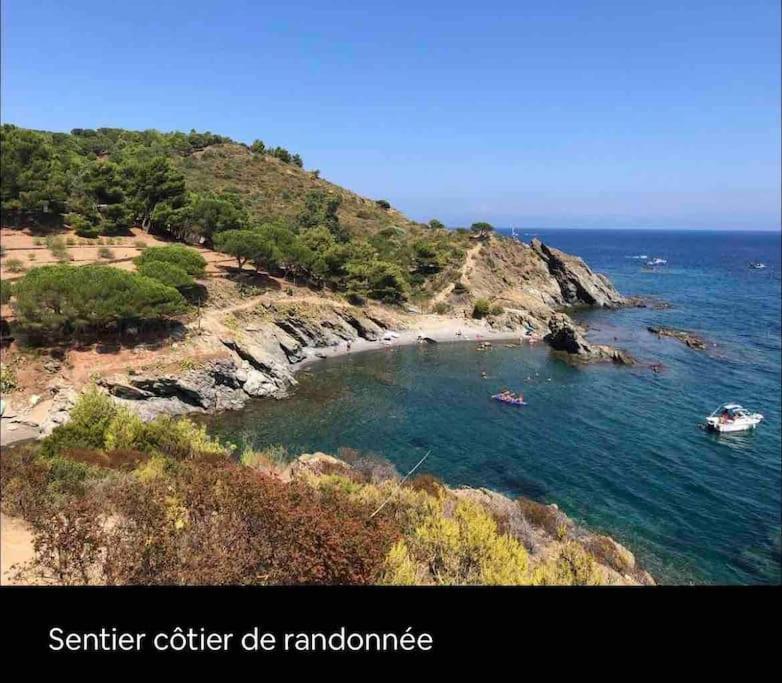 Coquet Appartement Canet-en-Roussillon Dış mekan fotoğraf