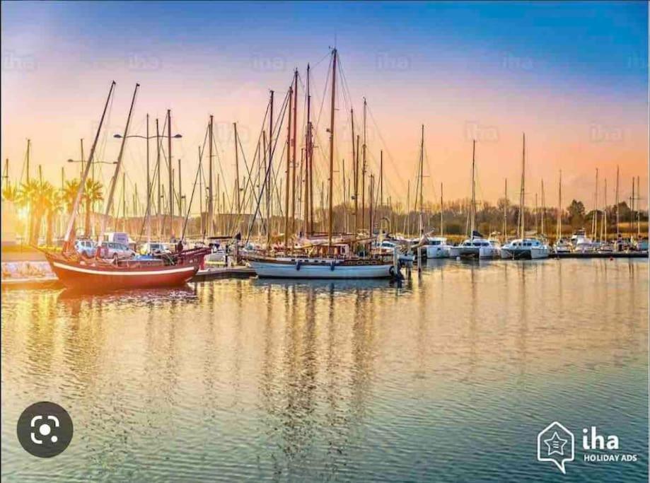 Coquet Appartement Canet-en-Roussillon Dış mekan fotoğraf
